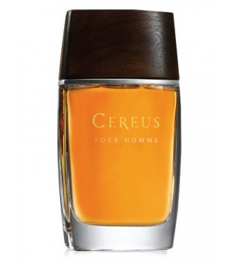 Cereus  Cereus  14 