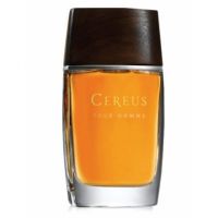 Cereus  Cereus  14 