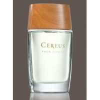 Cereus  Cereus  5 