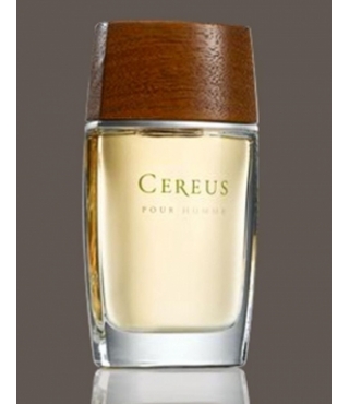 Cereus  Cereus   7 Cereus    75  