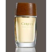Cereus  Cereus  7 Cereus 