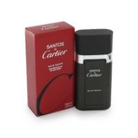 Cartier Santos de Cartier 