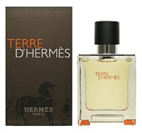 Hermes Terre D Hermes    100  
