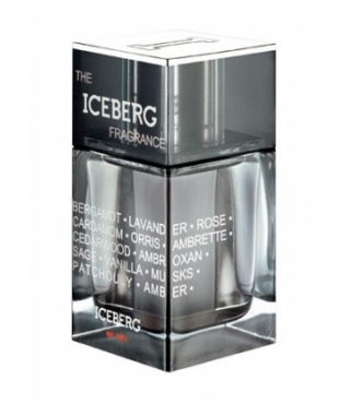 Iceberg The  Iceberg Fragrance for Men   100  