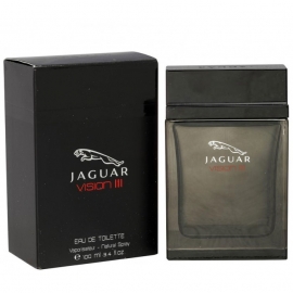 Jaguar Jaguar Vision III   100 