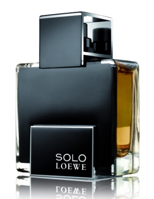 Loewe Solo Loewe Platinum   100  