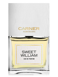 Carner Barcelona Sweet William   50 