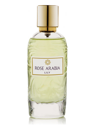 Aj Arabia Rose Arabia Lily