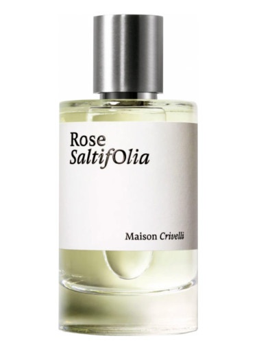 Maison Crivelli Rose Saltifolia   100  