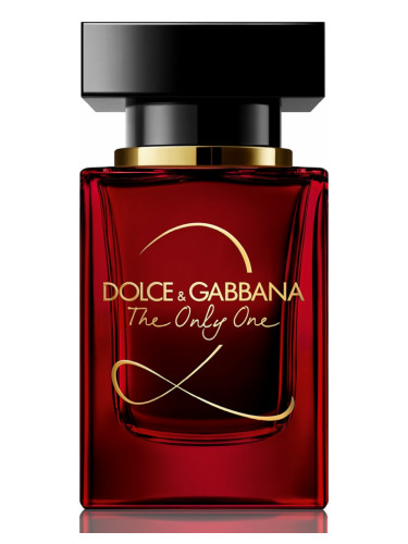 D & G The Only One 2   50 