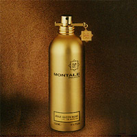 Montale Steam Aoud    100  